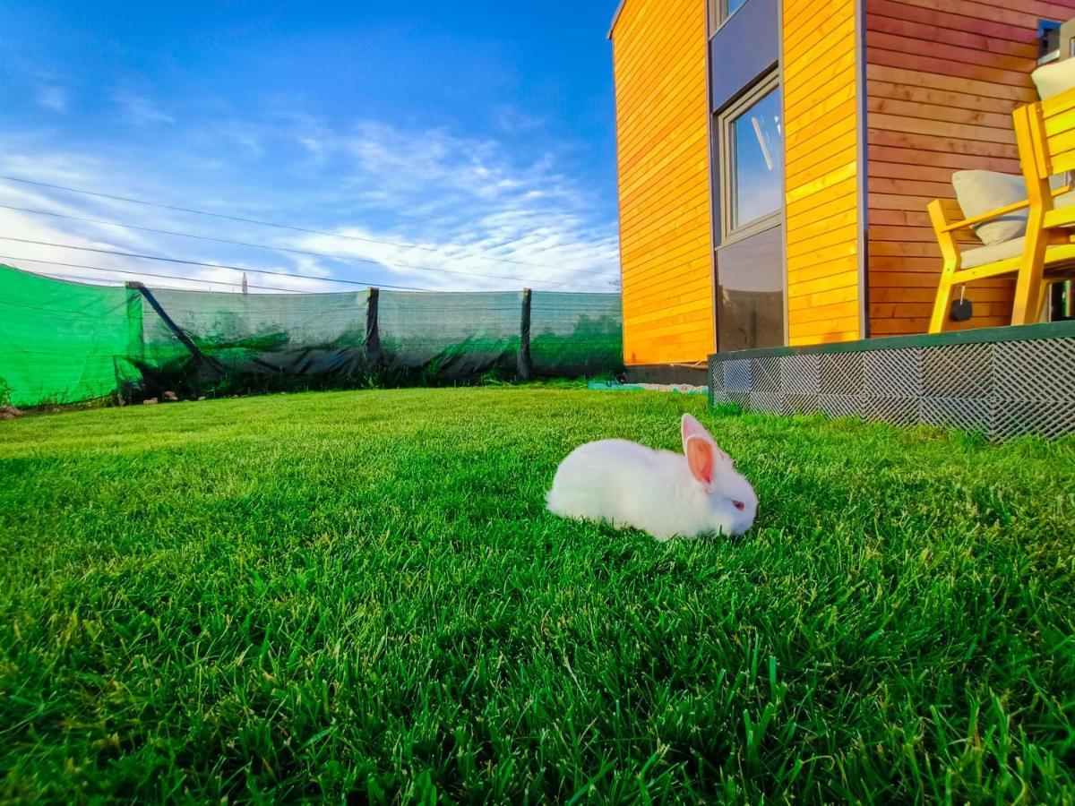 Tiny House - Baia De Fier酒店 外观 照片